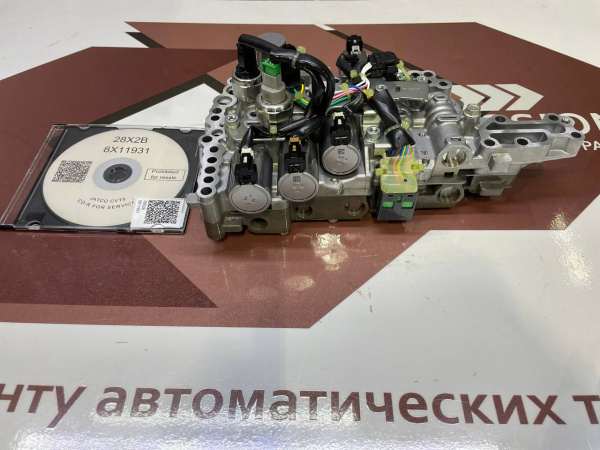 PT024354