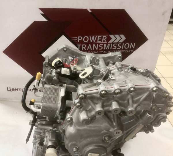 PT018954